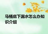 馬桶底下漏水怎么辦知識介紹