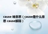 cause 啥意思（cause是什么意思 cause解釋）