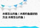 水庫怎么釣魚（水庫釣魚最好的方法 水庫怎么釣魚）