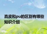 真皮和pu的區(qū)別有哪些知識介紹