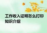 工作收入證明怎么打印知識介紹