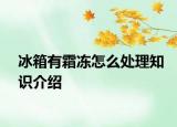 冰箱有霜凍怎么處理知識介紹