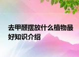 去甲醛擺放什么植物最好知識(shí)介紹