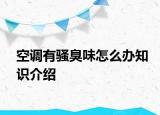 空調(diào)有騷臭味怎么辦知識(shí)介紹