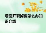 墻面開(kāi)裂掉皮怎么辦知識(shí)介紹