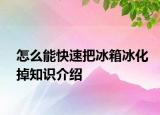 怎么能快速把冰箱冰化掉知識(shí)介紹