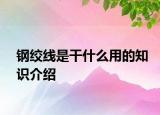 鋼絞線是干什么用的知識介紹