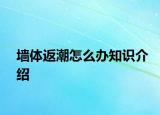 墻體返潮怎么辦知識介紹