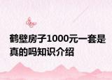 鶴壁房子1000元一套是真的嗎知識(shí)介紹