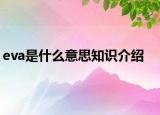 eva是什么意思知識(shí)介紹