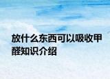 放什么東西可以吸收甲醛知識介紹