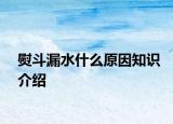 熨斗漏水什么原因知識介紹