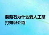 蘑菇石為什么要人工敲打知識(shí)介紹