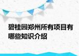 碧桂園鄭州所有項(xiàng)目有哪些知識(shí)介紹