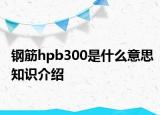 鋼筋hpb300是什么意思知識介紹