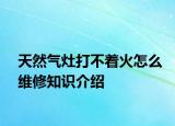 天然氣灶打不著火怎么維修知識(shí)介紹