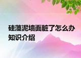 硅藻泥墻面臟了怎么辦知識介紹