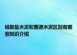 硅酸鹽水泥和普通水泥區(qū)別有哪些知識介紹