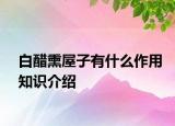 白醋熏屋子有什么作用知識(shí)介紹