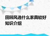 田園風(fēng)選什么家具較好知識(shí)介紹