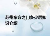 蘇州東方之門多少層知識介紹