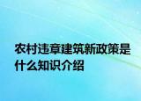 農(nóng)村違章建筑新政策是什么知識介紹