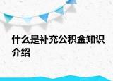 什么是補充公積金知識介紹