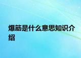 爆筋是什么意思知識介紹