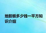 地膠板多少錢一平方知識(shí)介紹